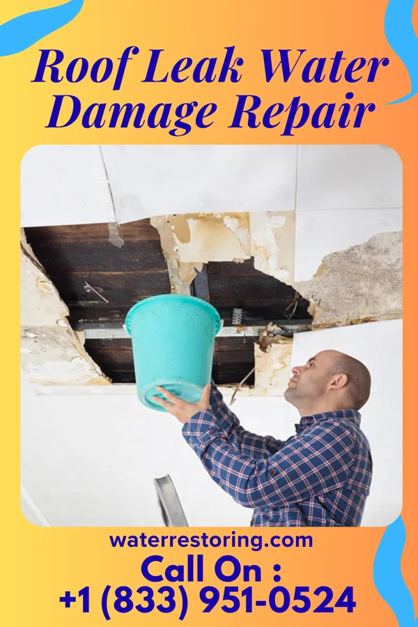 Roof Leak Water Damage Repair in Conesville, IA